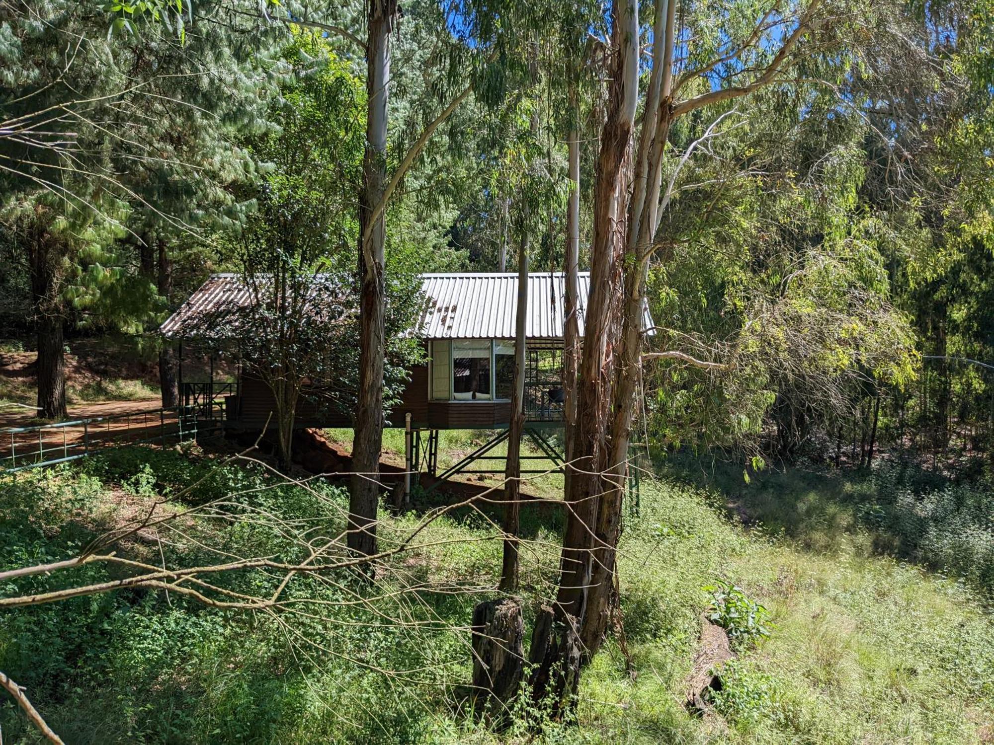 Stoneyhall Farm Accommodation Underberg Buitenkant foto
